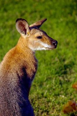 Book cover for A Wallaby in Queensland Australia Journal