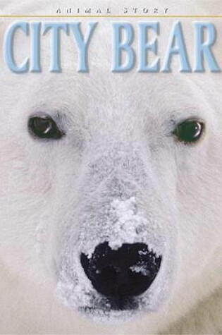 Cover of City Bear