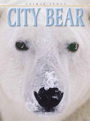 Book cover for City Bear