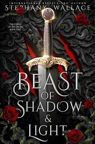 Cover of Beast of Shadow & Light