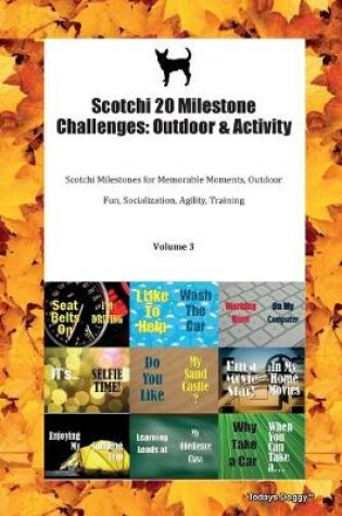 Cover of Scotchi 20 Milestone Challenges