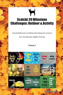 Book cover for Scotchi 20 Milestone Challenges