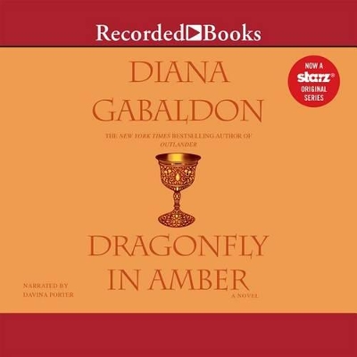 Book cover for Dragonfly in Amber