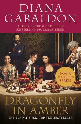 Cover of Dragonfly In Amber