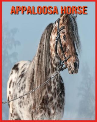 Book cover for Appaloosa Horse