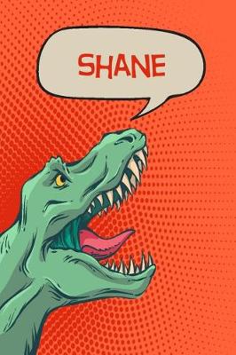 Book cover for Shane