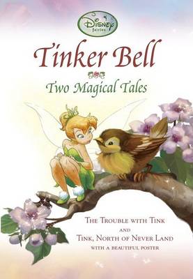 Book cover for Tinker Bell