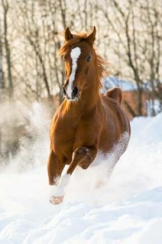 Cover of Red Arabian Stallion Gallops in the Snow Journal