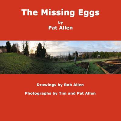 Book cover for The Missing Eggs