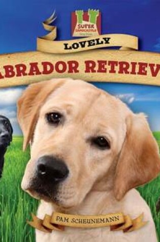 Cover of Lovely Labrador Retrievers