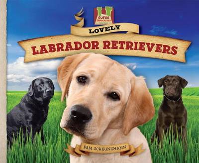 Cover of Lovely Labrador Retrievers