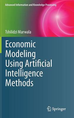 Cover of Economic Modeling Using Artificial Intelligence Methods