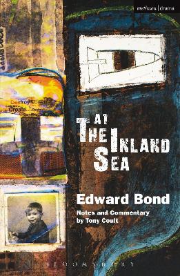 Book cover for At The Inland Sea