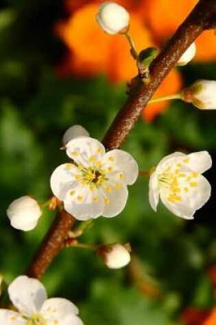 Cover of Cherry Blossoms on the Branch Journal