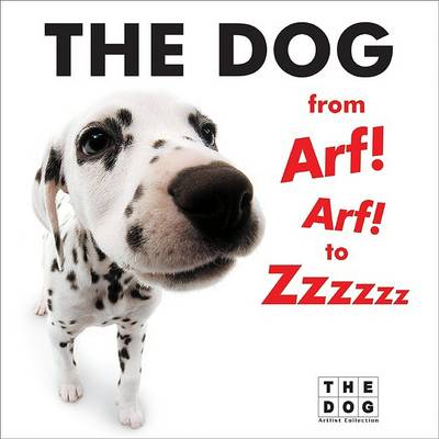 Book cover for The Dog from Arf! Arf! to Zzzzzz Board Book