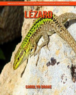 Book cover for Lézard