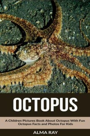 Cover of Octopus