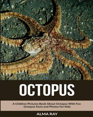 Book cover for Octopus