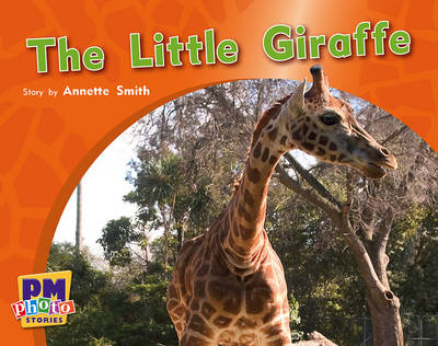 Book cover for The Little Giraffe