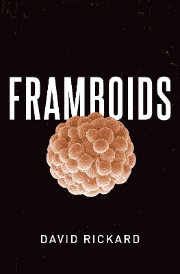 Cover of Framboids