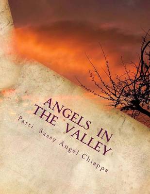 Book cover for Angels In The Valley