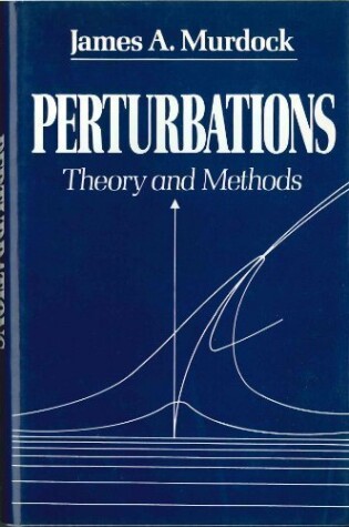 Cover of Perturbations