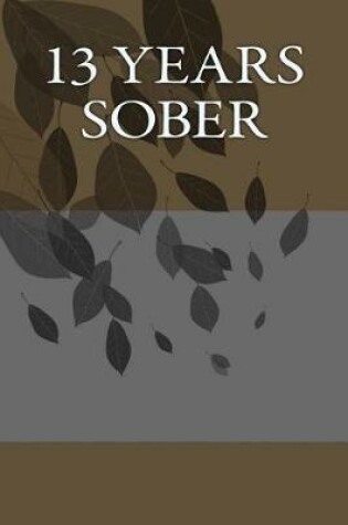 Cover of 13 Years Sober