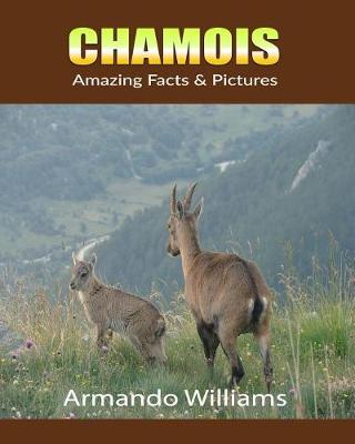 Book cover for Chamois