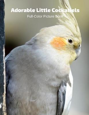 Book cover for Adorable Little Cockatiels Full-Color Picture Book