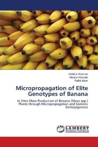 Cover of Micropropagation of Elite Genotypes of Banana