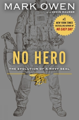 Book cover for No Hero