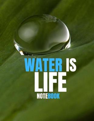 Book cover for Water Is Life