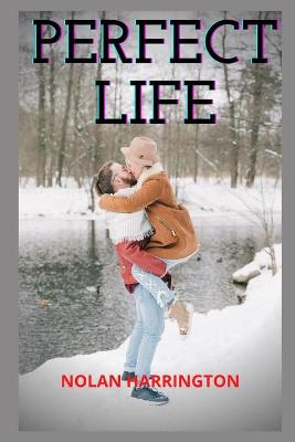 Book cover for Perfect life