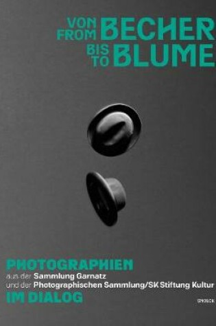Cover of From Becher to Blume