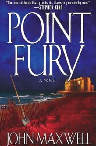 Cover of Point Fury