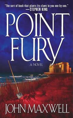 Book cover for Point Fury