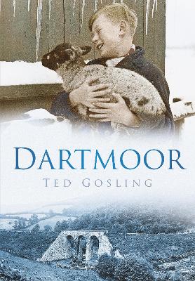 Book cover for Dartmoor