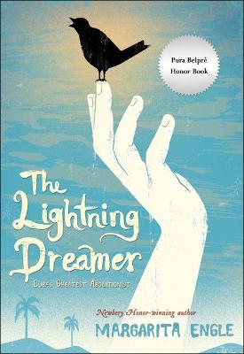 Cover of The Lightning Dreamer