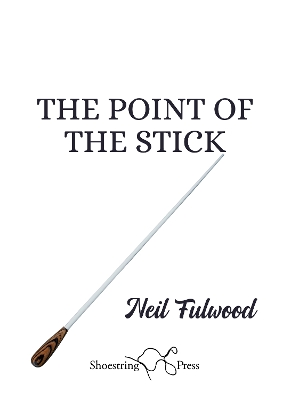 Book cover for The Point of the Stick