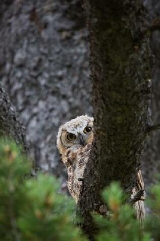 Cover of Great Horned Owl Peeking Around a Tree Trunk Journal