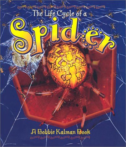 Book cover for Spider