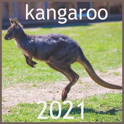 Book cover for kangaroo