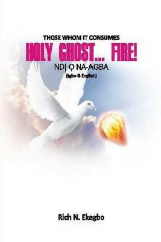 Cover of Holy Ghost... Fire!