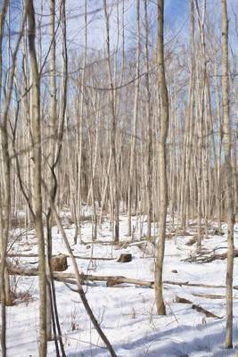 Book cover for Birch Trees in the Snow Winter Journal