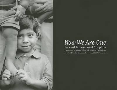 Book cover for Now We Are One