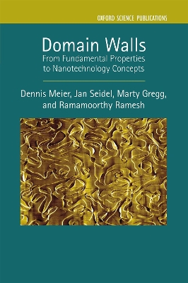 Book cover for Domain Walls