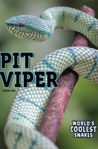 Cover of Pit Viper