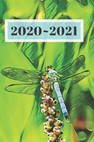 Cover of Light Teal Blue Dragonfly Green Background Dated Calendar Planner 2 years To-Do Lists, Tasks, Notes Appointments