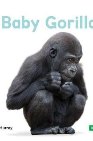 Cover of Baby Gorillas