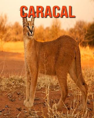 Book cover for Caracal